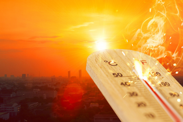 Disaster-Proof Your Life: A Complete Guide to Staying Safe in Any Emergency