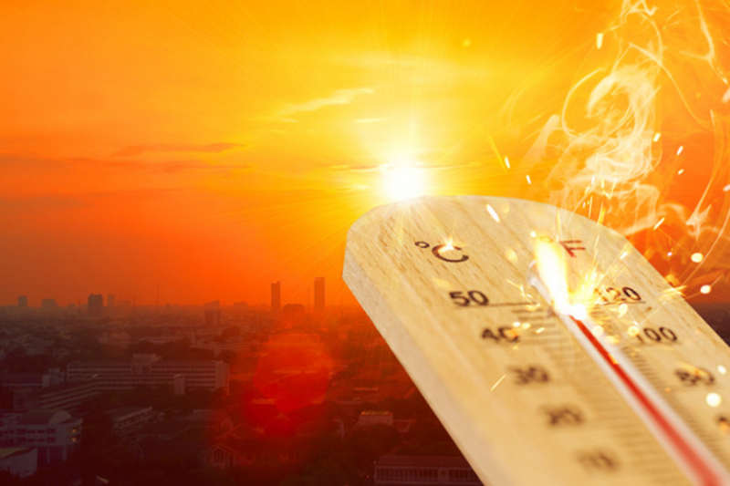 Disaster-Proof Your Life: A Complete Guide to Staying Safe in Any Emergency