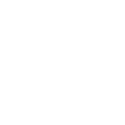 Core Comfort & Support