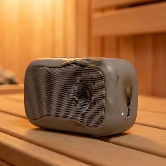 Standard Portable Speakers